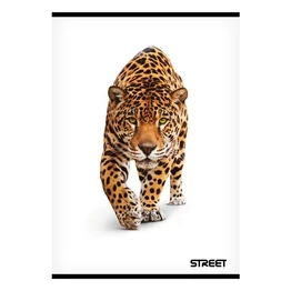Füzet sima STREET A/4 54 lapos Safari