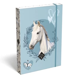 Füzetbox LIZZYSULI A/5 Wild Beauty Sport Club