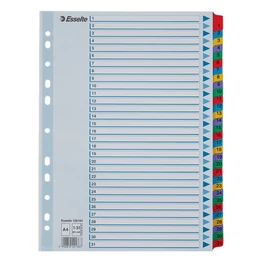 Regiszter ESSELTE Mylar A/4 laminált karton 1-31