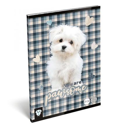 Füzet LIZZY CARD A/5 32 lapos kockás 27-32 pawsome