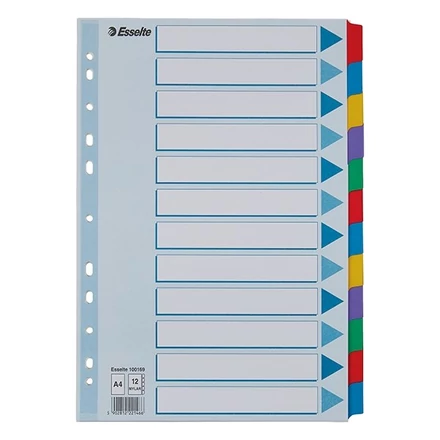 Regiszter ESSELTE Mylar A/4 laminált karton 12 részes