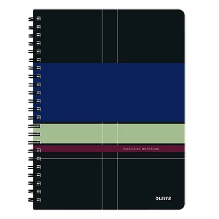 Spirálfüzet kockás LEITZ A/4 80 lapos Executive PP