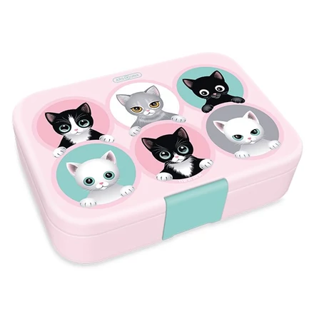 Uzsonnás doboz ARS UNA Think Pink osztott műanyag 216x153x52 mm