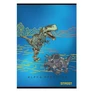 Kép 4/4 - Füzet vonalas STREET A/5 54 lapos Dinosaur margóval