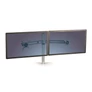 Kép 2/2 - Monitortartó kar FELLOWES Lotus kettő monitorhoz