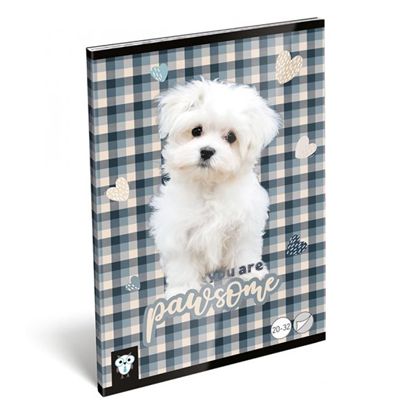 Füzet LIZZY CARD A/5 32 lapos sima 20-32 pawsome